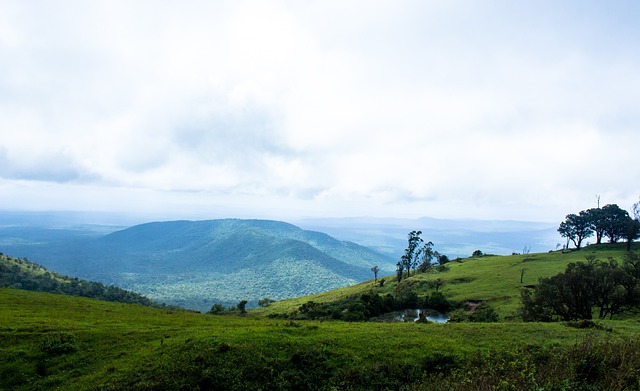 下来的挑战 下来的挑战