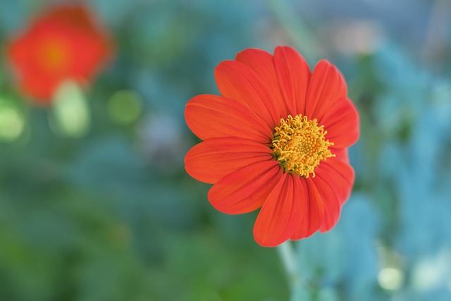 少反思的空 少反思的空