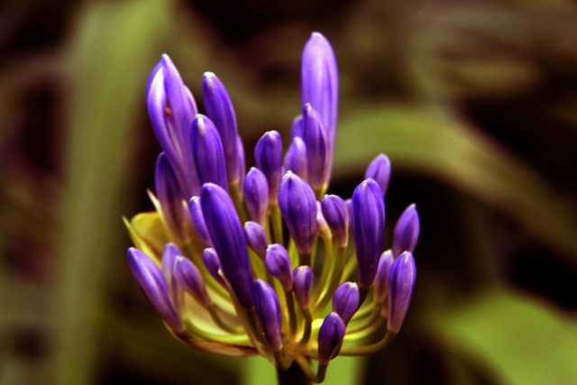 楊一鳴的這 楊一鳴的這