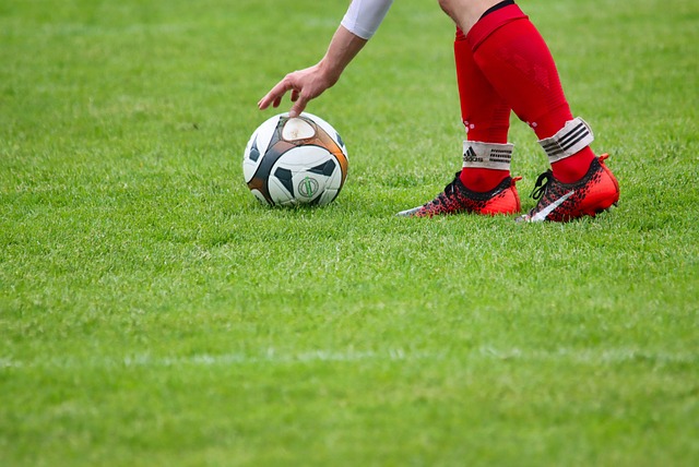 仅扭转了比